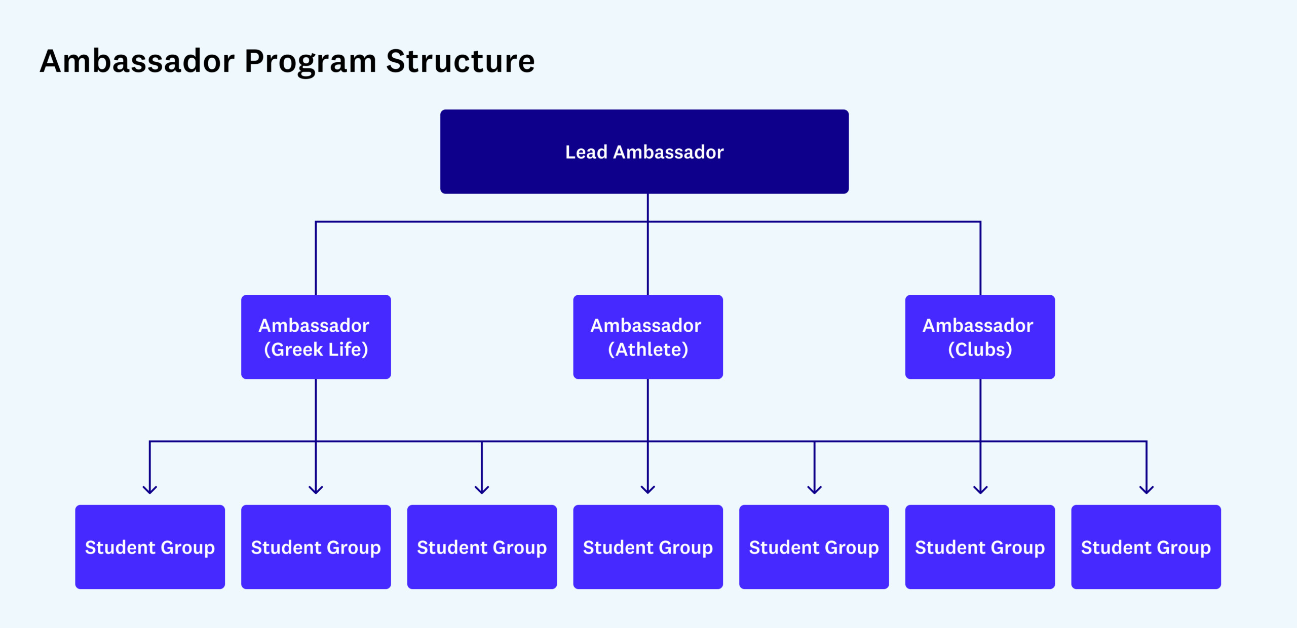 Sample College Ambassador Program Structure