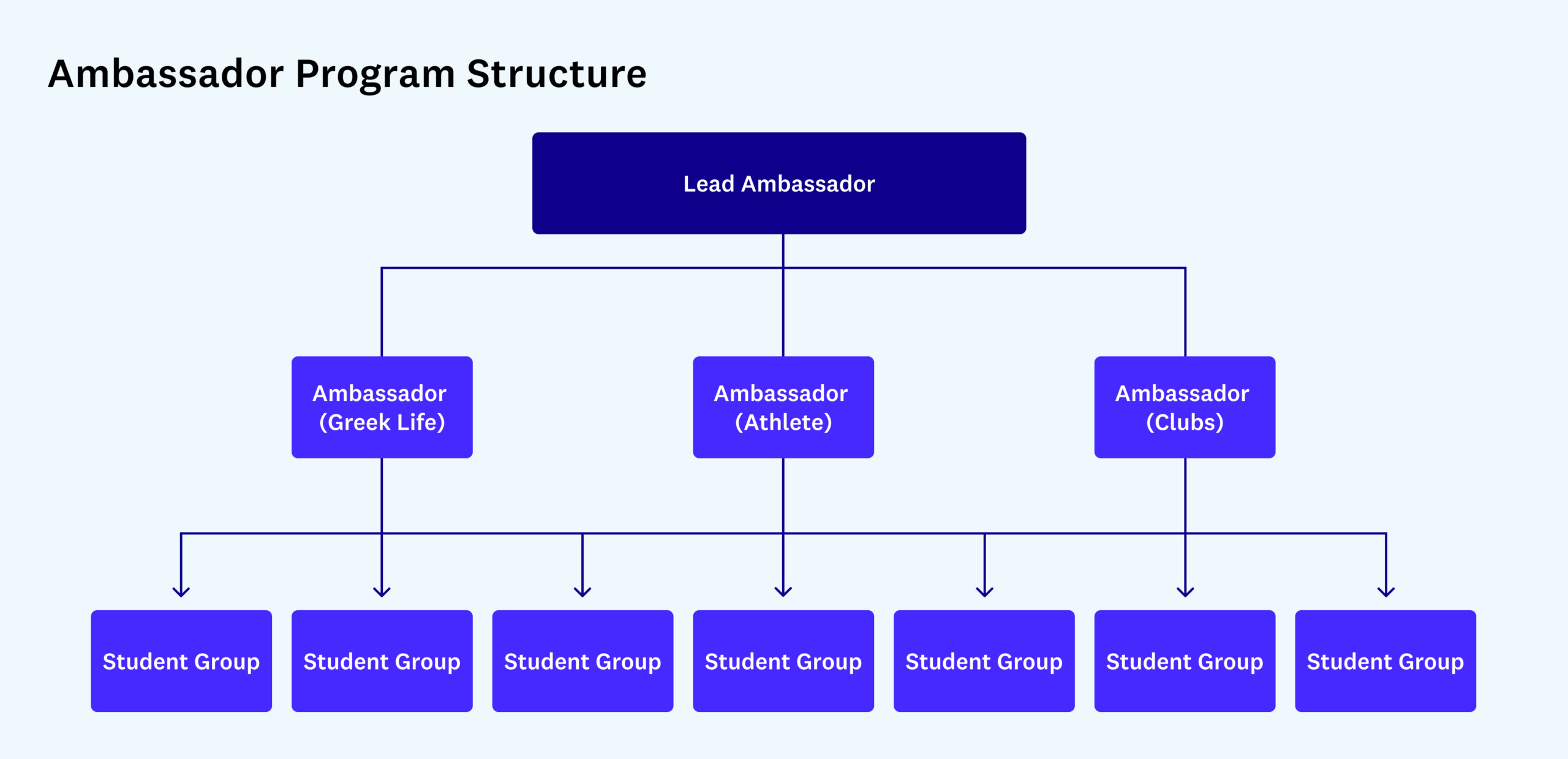 Brand Ambassador: Definition, Job Description, Salary, & More